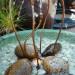 water-feature-2.jpg